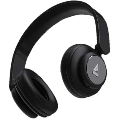 Bt 450 headphones hot sale