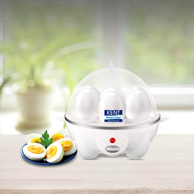 Vivo 2024 egg boiler